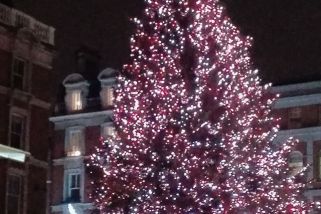 Glitzernder Weihnachtsbaum vor Covent Garden/London